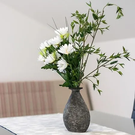 Pineta Cunski