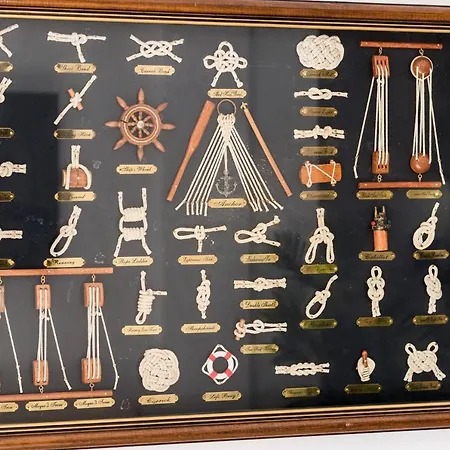 Pensiune Pineta Čunski