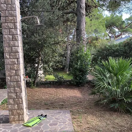 Pineta Penzion
