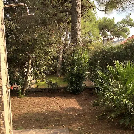 Penzion Pineta