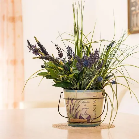 게스트하우스 Pineta