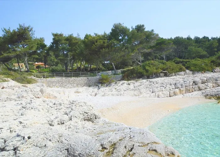 Pineta