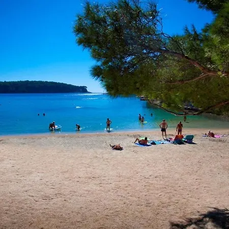 Gæstehus Pineta Čunski