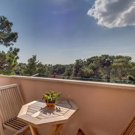 Pineta Pensjonat 3*